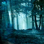 &raquo;Treetops&laquo; cover