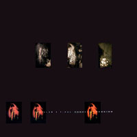 &raquo;Tidal Surface Tension&laquo; cover