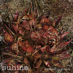»Suhina« cover
