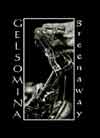 »Greenaway« cover