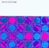 &raquo;Sylvester Orchester 2000&laquo; cover
