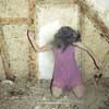 &raquo;Absencen&laquo; cover
